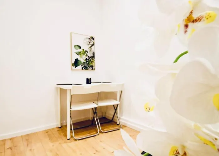 Super Cozy 5 Bedroom Shared 10min Walk To Augarten * Vienna