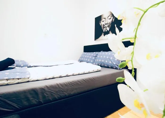 Super Cozy 5 Bedroom Shared 10min Walk To Augarten * Vienna